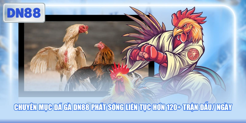 Chuyên mục đá gà DN88 phát sóng liên tục hơn 120+ trận đấu/ ngày