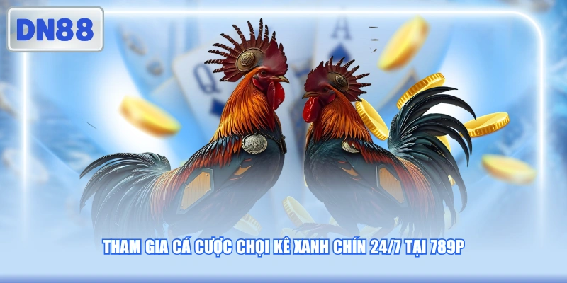 Tham gia cá cược chọi kê xanh chín 24/7 tại 789P